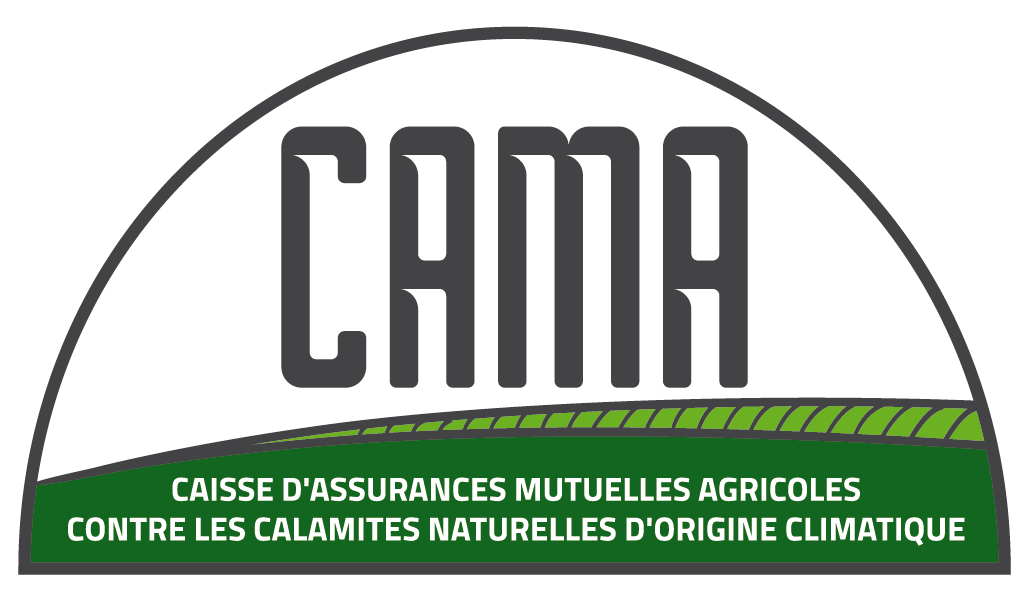 CAMA LOGO QUADRI 2