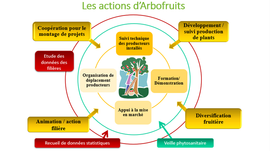 actionsarbofruits