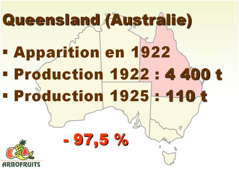 BT Queensland